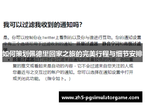 如何策划佩德里回家之旅的完美行程与细节安排