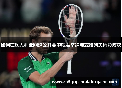 如何在澳大利亚网球公开赛中观看辛纳与兹维列夫精彩对决