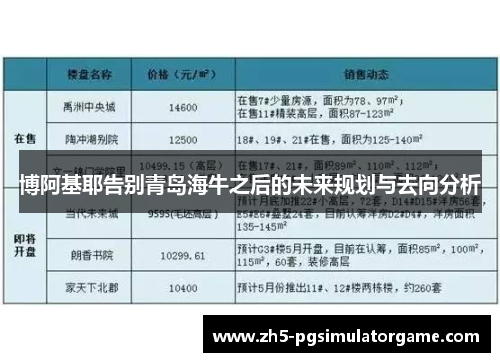 博阿基耶告别青岛海牛之后的未来规划与去向分析 博阿基耶告别青岛海牛之后的未来规划与去向分析