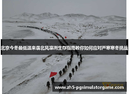 北京今冬最低温来袭北风凛冽生存指南教你如何应对严寒寒冬挑战