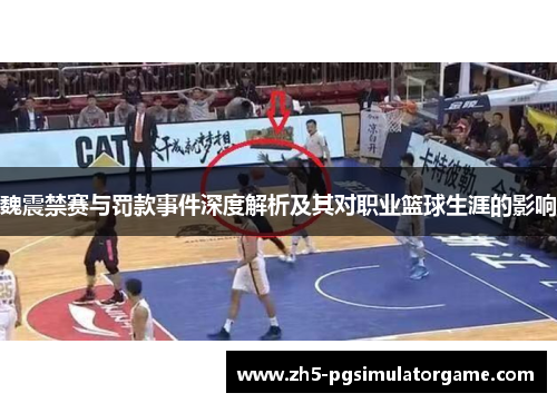 魏震禁赛与罚款事件深度解析及其对职业篮球生涯的影响